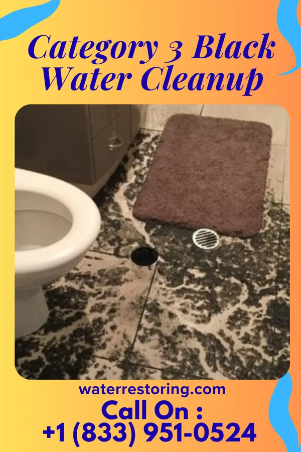 Category 3 Black Water Cleanup in Jones, OK